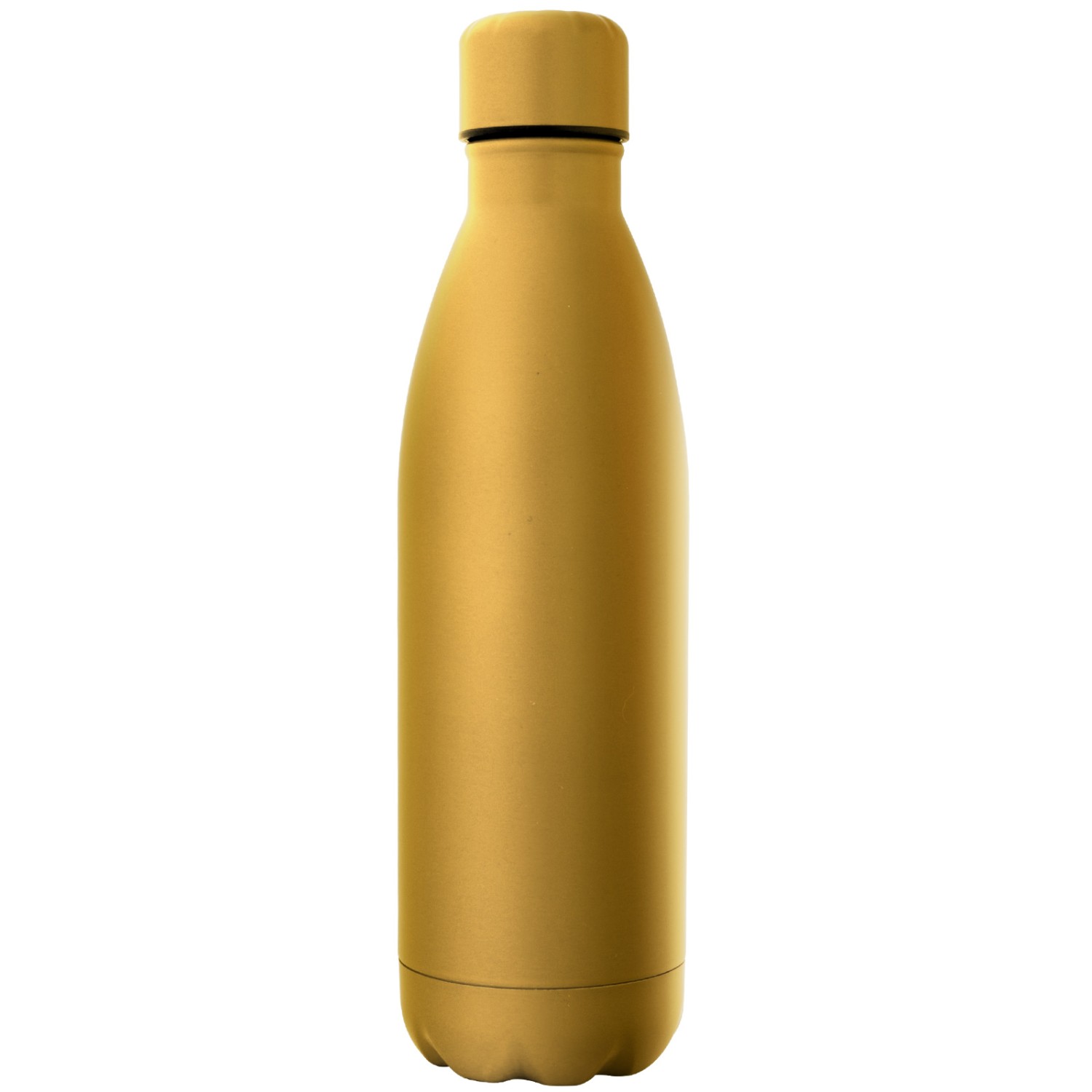 1. Foto Trinkflasche REXTAN matt Edelstahl Flasche mit Gravur (Farbe: gold)